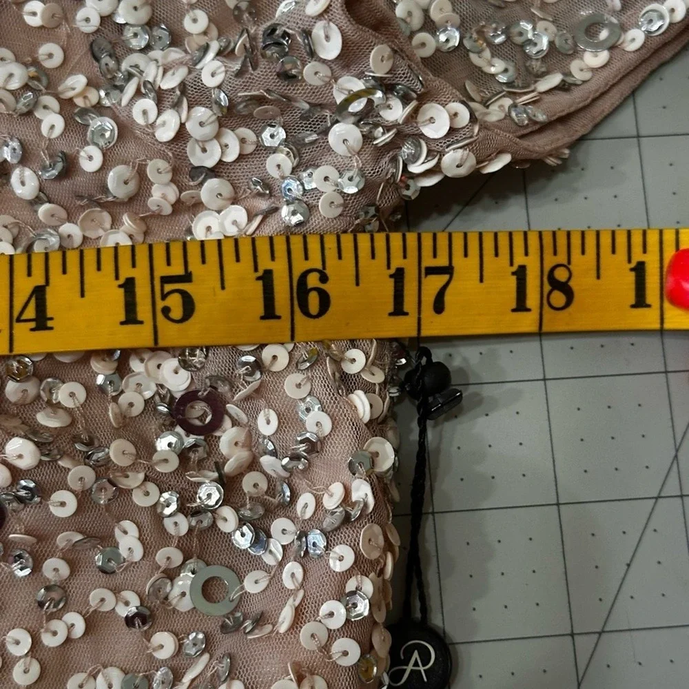 Adrianna Papell Sequin Gown 10 Blush NWT Scoop Back‎ Beaded Evening Dress